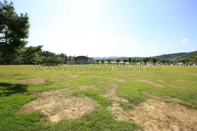 神井湖觀光區 (18/26)