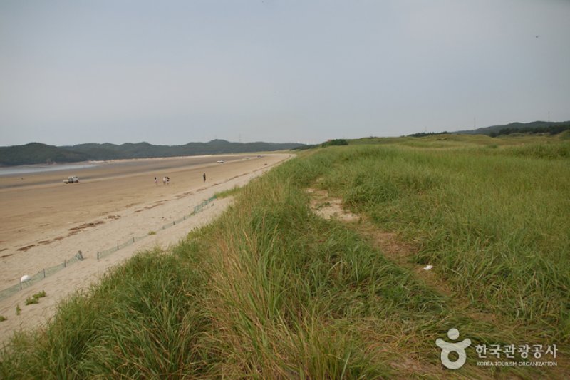 新斗里海岸沙丘
