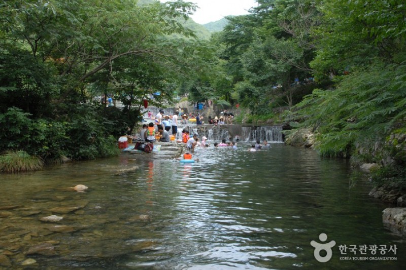 南二自然休養林