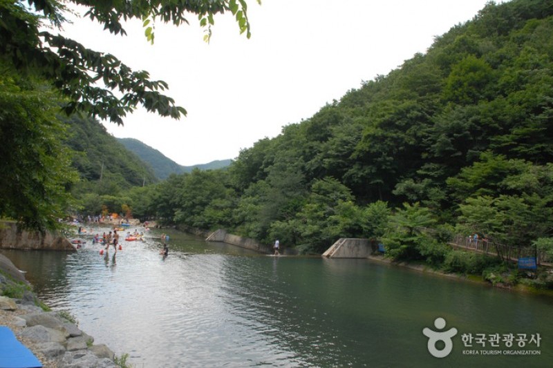 南二自然休養林