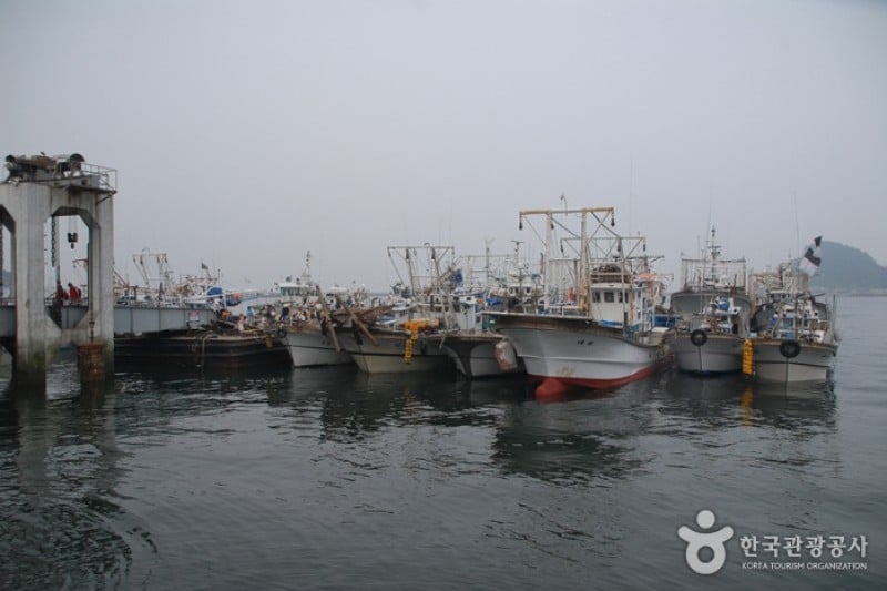 新津島