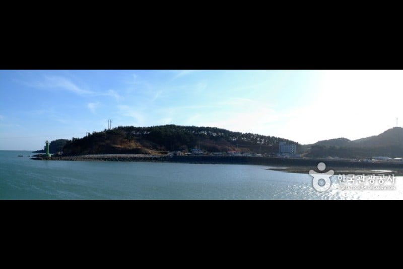 新津島