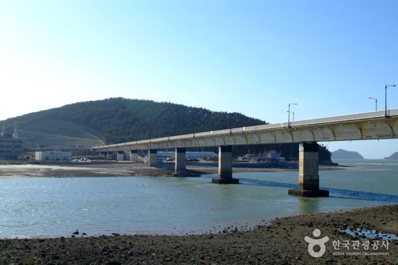 新津島