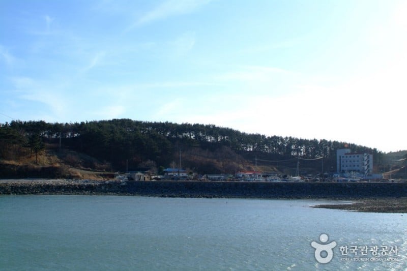 新津島