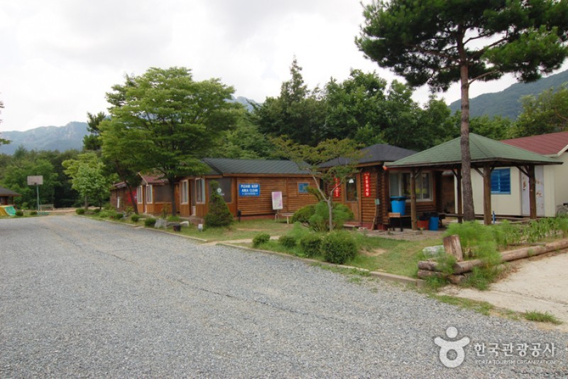 大芚山自然休養林