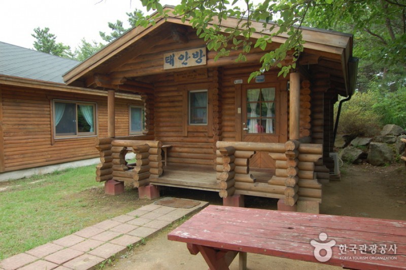 大芚山自然休養林