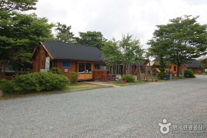 大芚山自然休養林