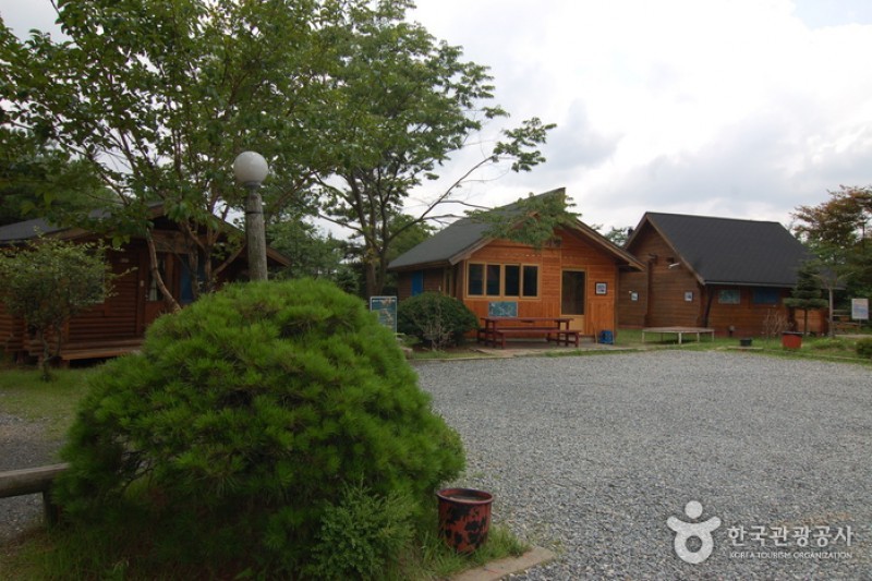 大芚山自然休養林