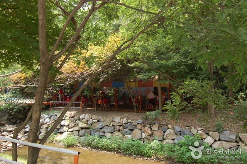 大芚山自然休養林
