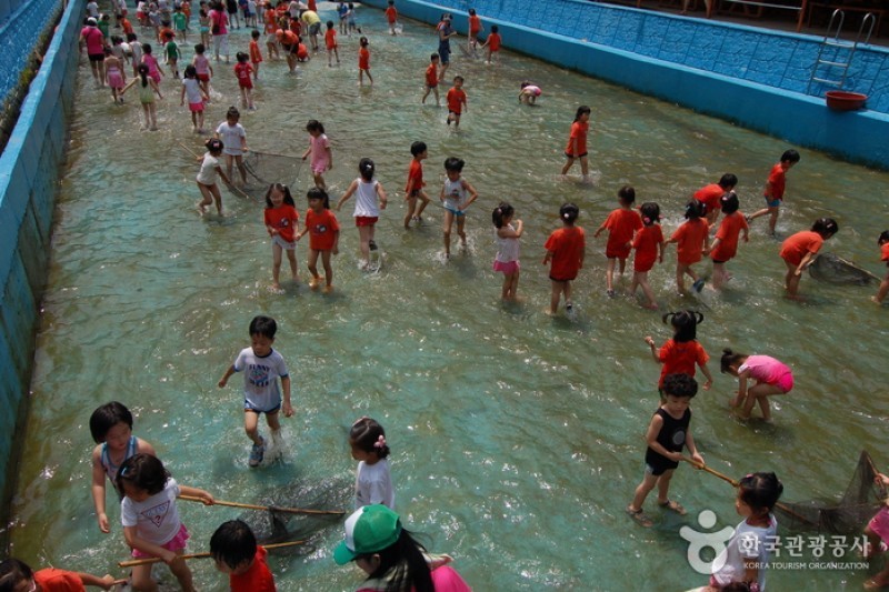 大芚山自然休養林