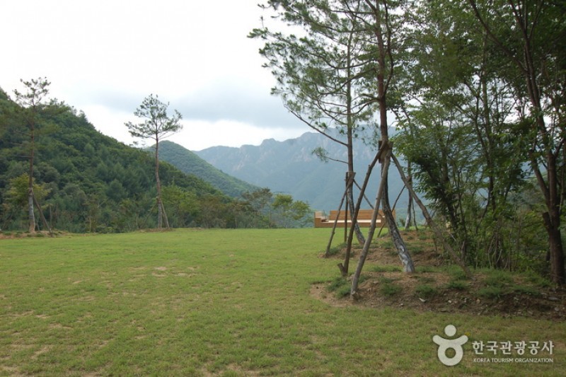 大芚山自然休養林