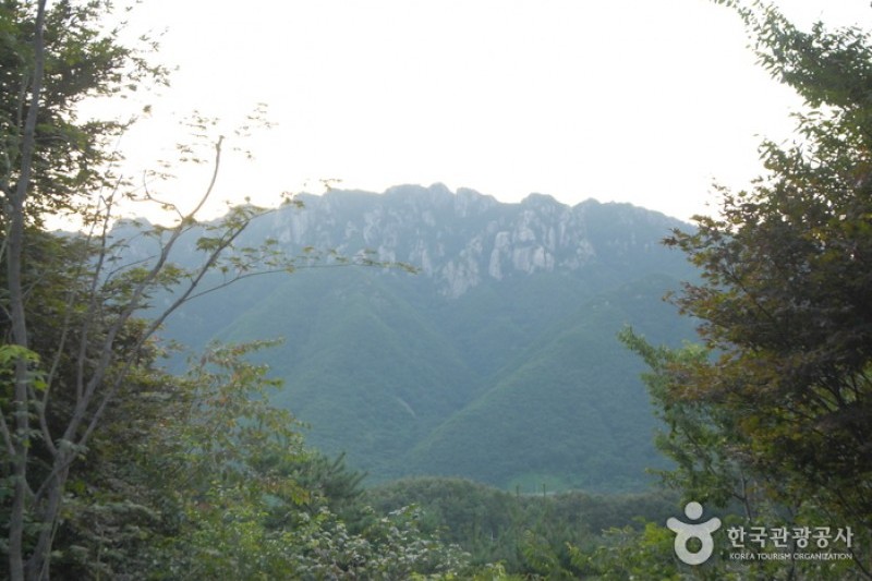 大芚山自然休養林