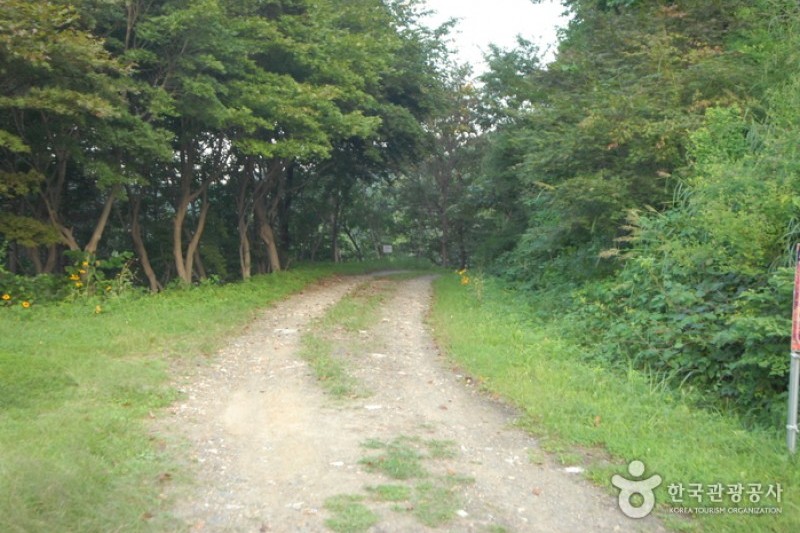 大芚山自然休養林