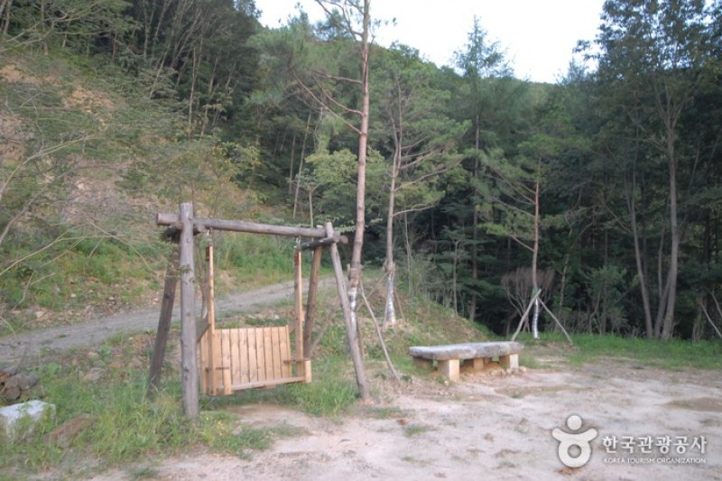 大芚山自然休養林