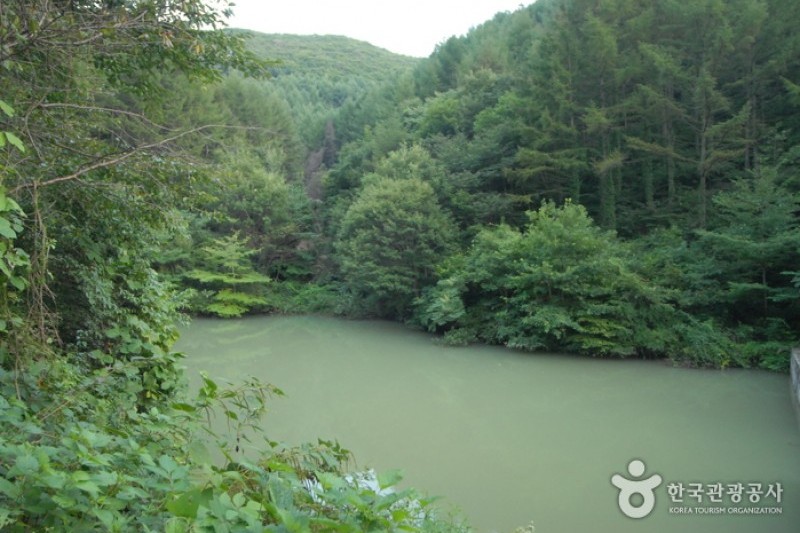 大芚山自然休養林