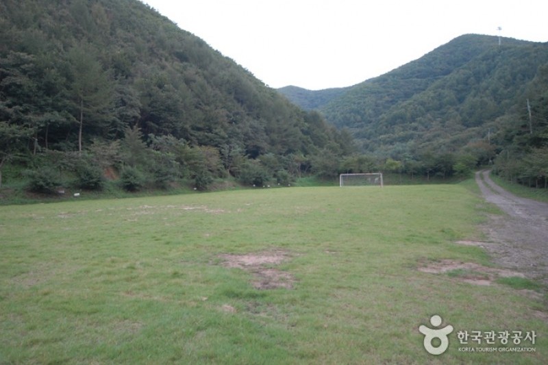 大芚山自然休養林