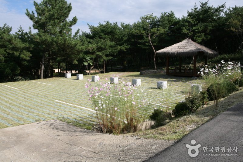泰鶴山自然休養林 (1/6)