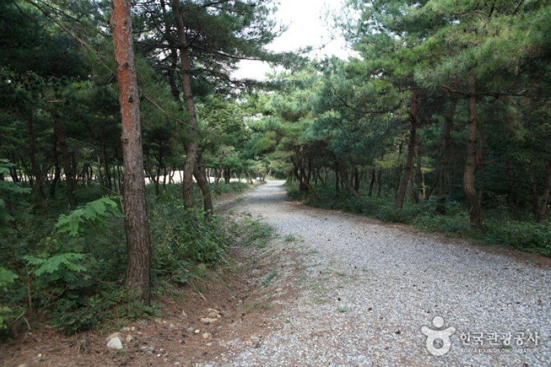泰鶴山自然休養林 (4/6)