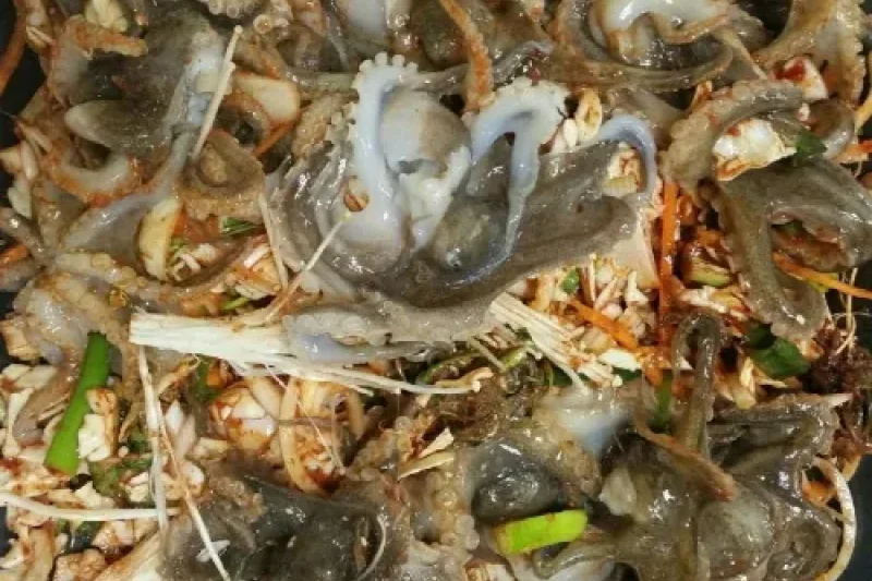 武昌浦神秘海路短爪章魚‧比目魚慶典