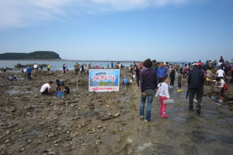 武昌浦神秘海路短爪章魚‧比目魚慶典