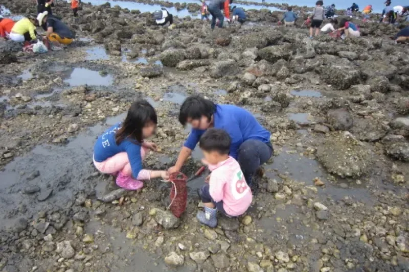 武昌浦神秘海路短爪章魚‧比目魚慶典
