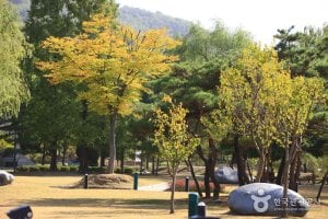 天安三岔路公園