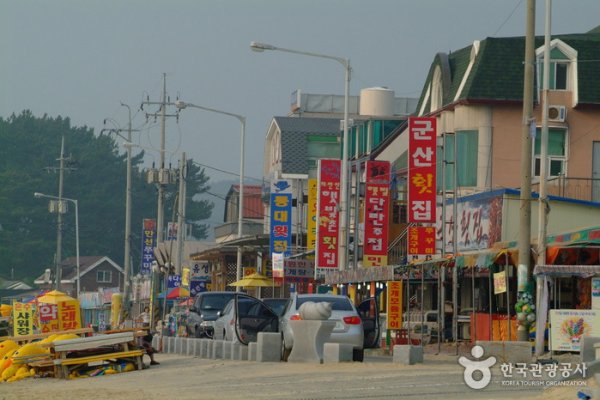 武昌浦神秘海路大蝦‧鰶魚節