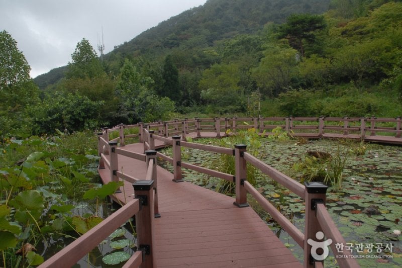 Kohwun植物園