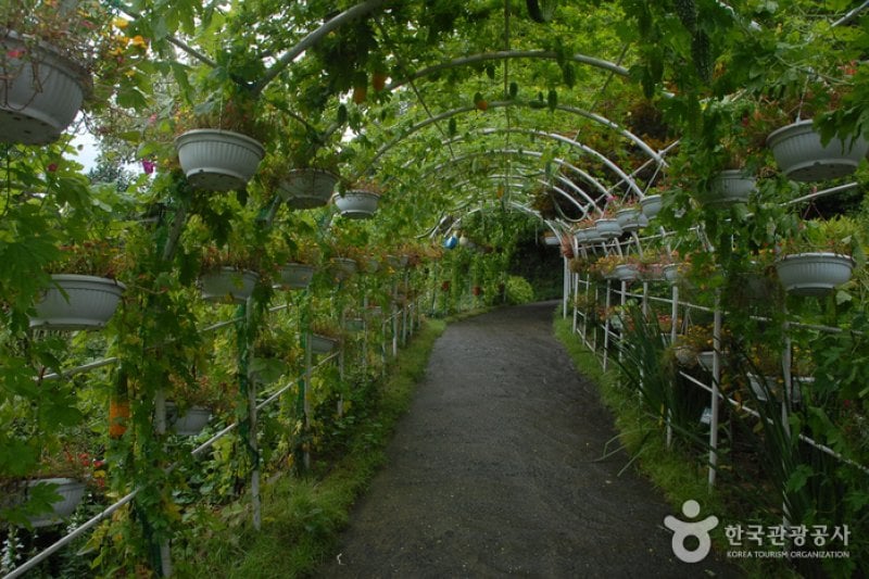 Kohwun植物園