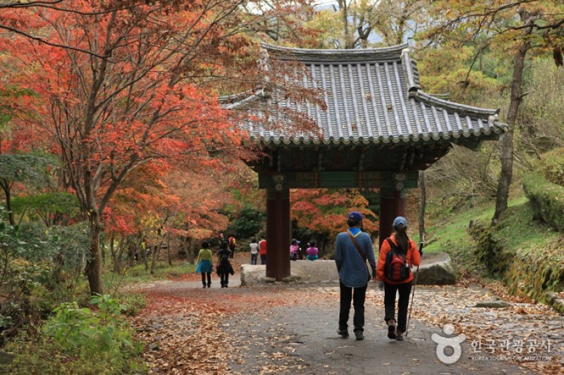 證心寺 (1/33)