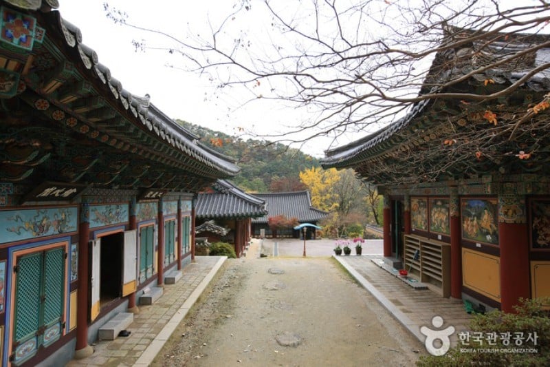 證心寺 (11/33)