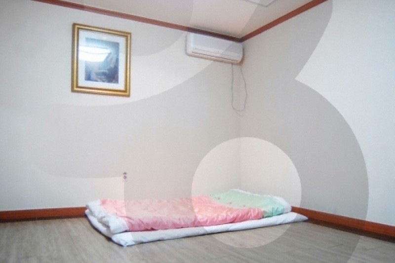 希丁克大陸
