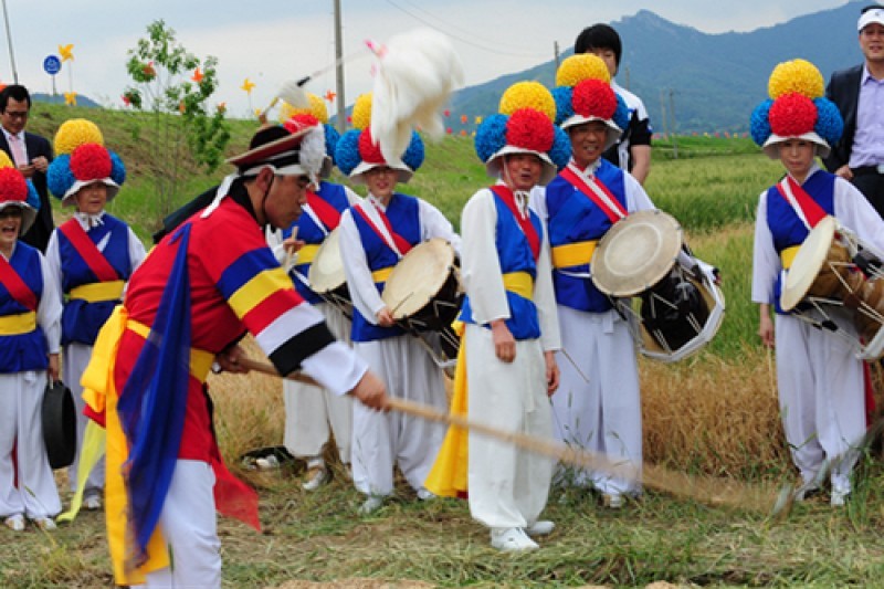 光山小麥節