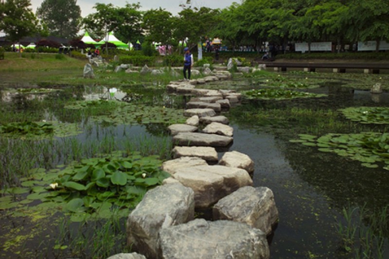 光山小麥節