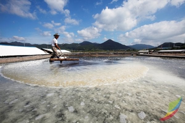 熊沼鹽田