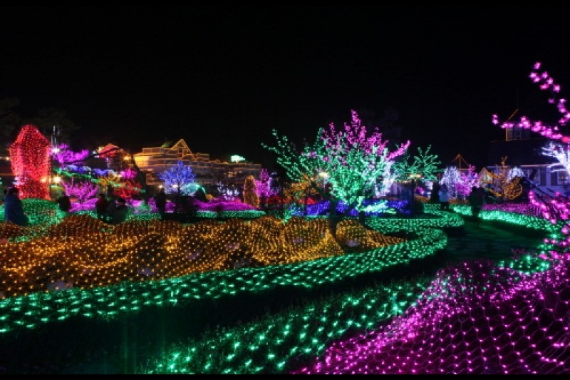 抱川香草島樂園 (1/16)