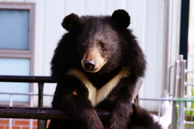 Beartree公園