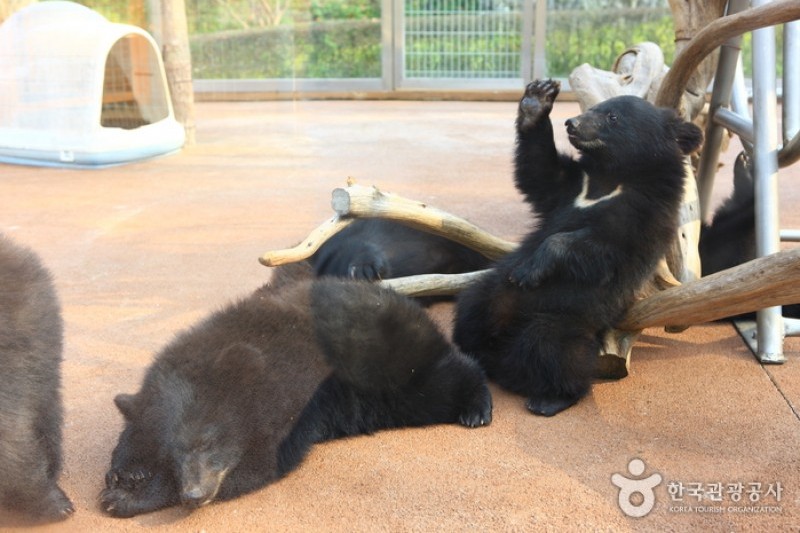 Beartree公園
