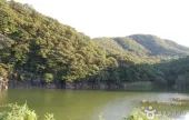 蔚州大谷里盤龜臺岩刻畫