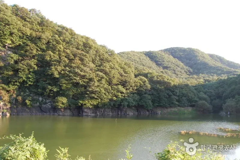 蔚州大谷里盤龜臺岩刻畫 (1/11)