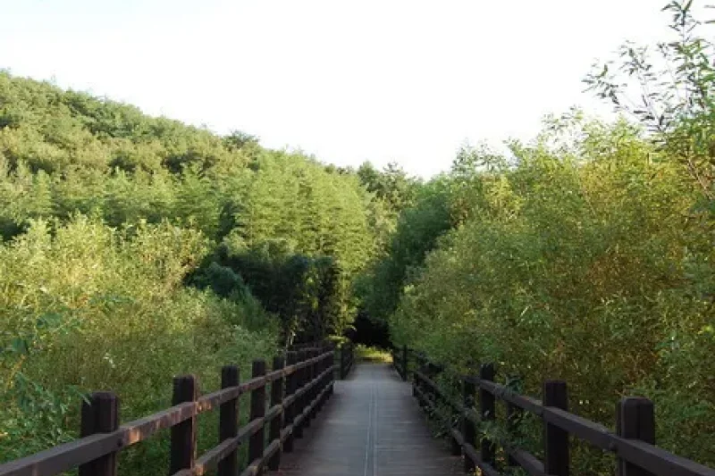蔚州大谷里盤龜臺岩刻畫 (5/11)