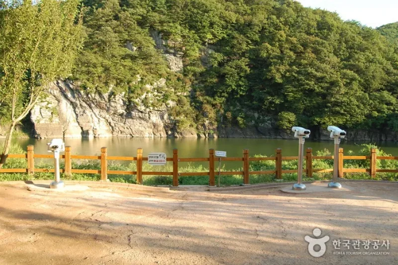蔚州大谷里盤龜臺岩刻畫 (8/11)