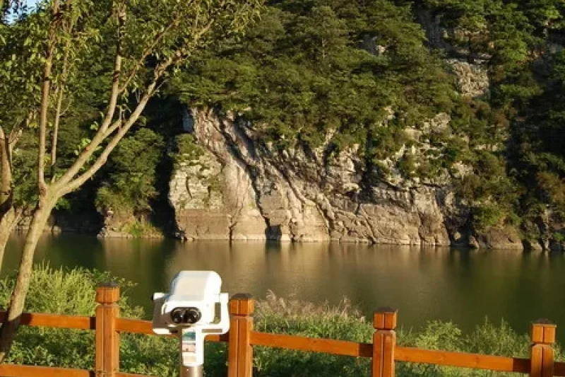 蔚州大谷里盤龜臺岩刻畫 (9/11)