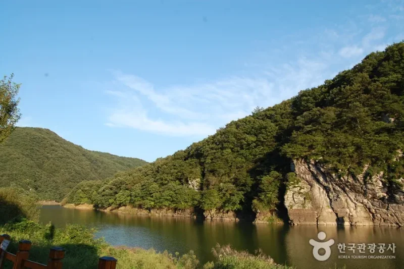 蔚州大谷里盤龜臺岩刻畫 (10/11)