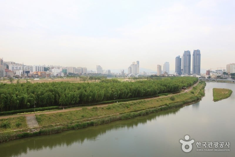 太和江大公園