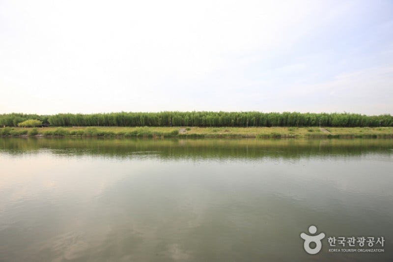 太和江大公園