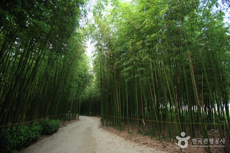 太和江大公園