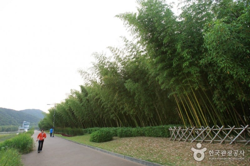 太和江大公園