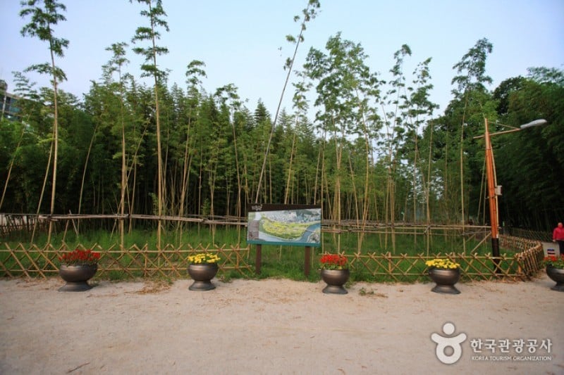 太和江大公園