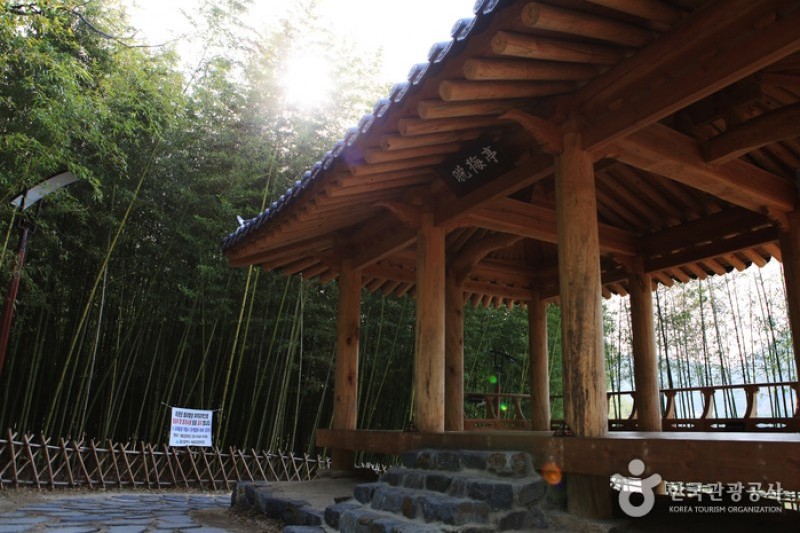 太和江大公園